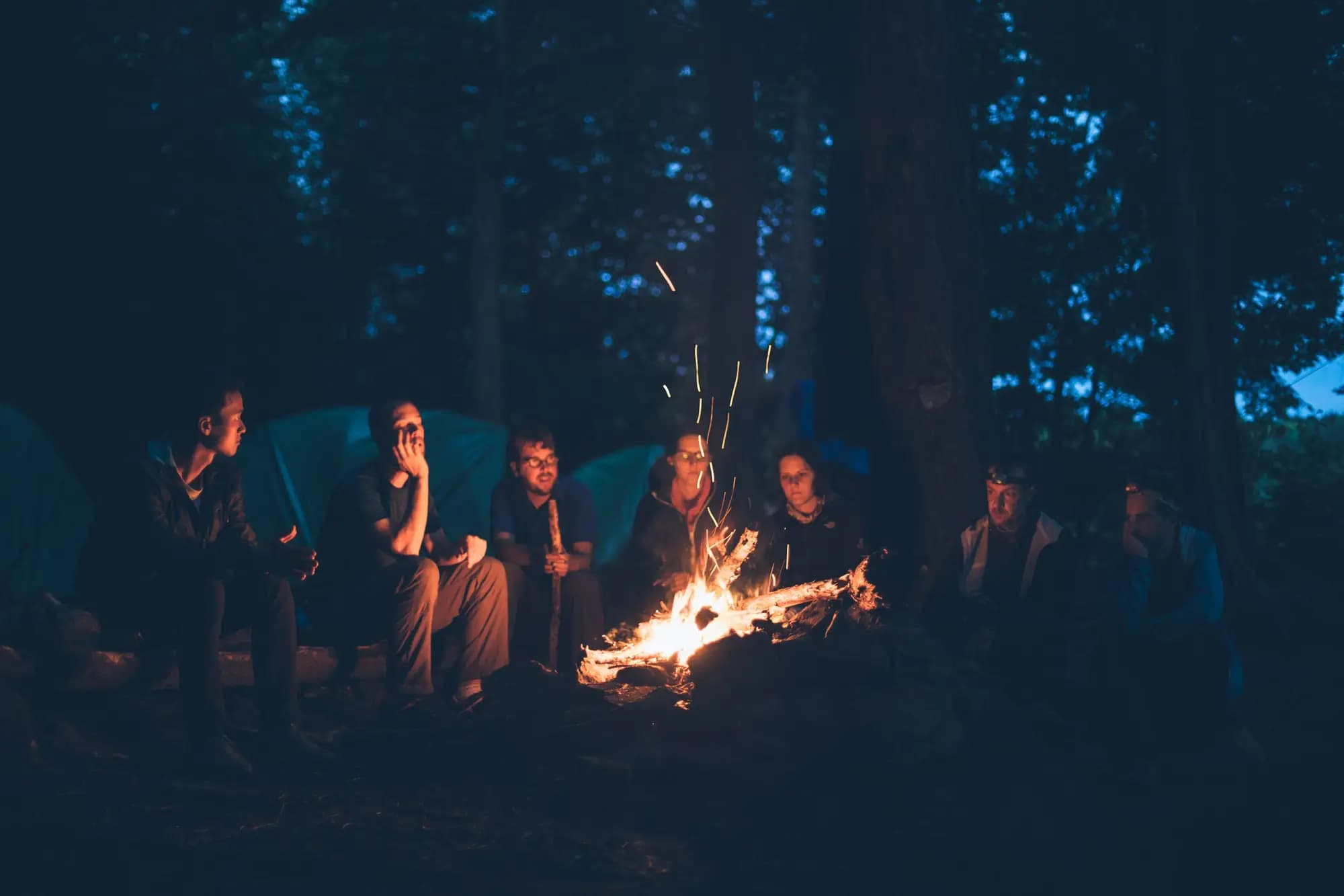 Campers gathered around a glowing campfire beneath the trees at night.